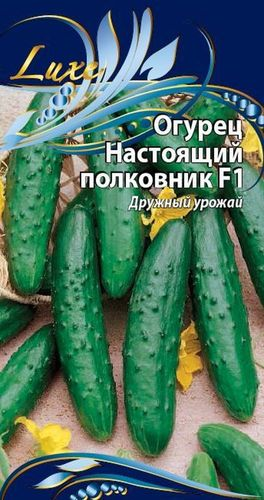 Семена Огурца Настоящий полковник 0,25 г, крупный план