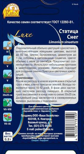 Семена статица снег 0,2 г, картинка
