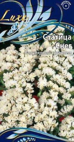 Семена статица снег 0,2 г, фотография