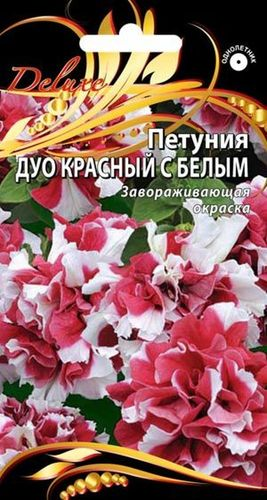 Семена петуния красный с белым 10 шт, детальное фото