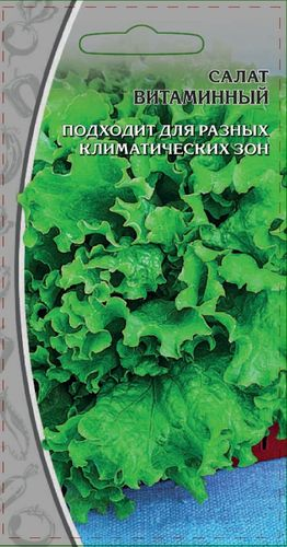 Салат Витаминный, 1г, вид