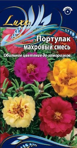 Семена портулак махровая смесь 0,2 г, изображение