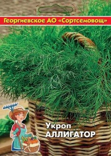 Семена укроп аллигатор 10 г, изображение