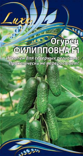Огурец Филиповна F1, 0,25г, детальное фото