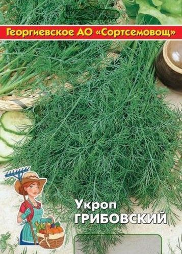 Семена укроп грибовский 10 г, фотография