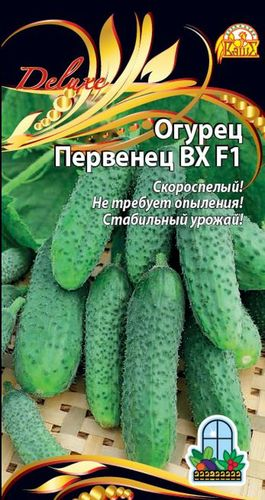 Огурец Первенец ВХ F1, 0,25г, крупный план