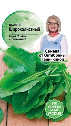 Семена Щавеля Широколистный 0,5 г, вид