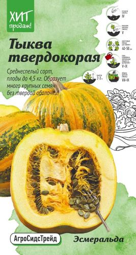 Семена Тыква твердокорая Эсмеральда 2г Агросидстрейд, крупный план