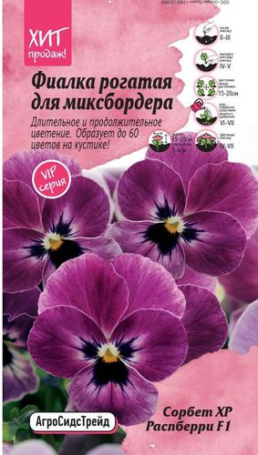 Фиалка рогатая Сорбет XP Распберри F1 5 шт АСТ, картинка