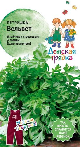 Семена ПЕТРУШКА ВЕЛЬВЕТ ДГ 1 Г, фото