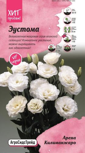 Эустома Арена Килиманжаро 5 шт АСТ, крупный план