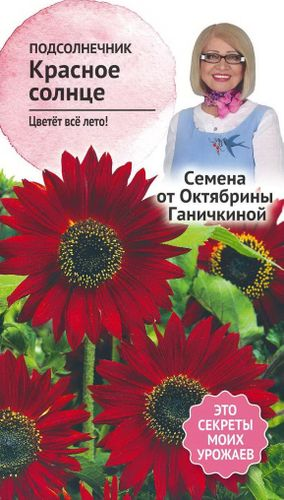 Семена Подсолнечника Октябрина Ганичкина Красное солнце 0,5 г, изображение