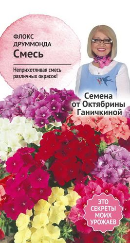 Семена Флокс друммонда смесь Семена от Октябрины Ганичкиной 0,1 гр, изображение