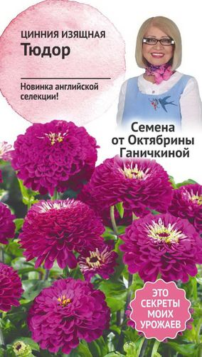 Семена Циннии Октябрина Ганичкина Тюдор 10 шт, вид