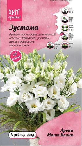Эустома Арена Монт Бланк 5 шт АСТ, изображение