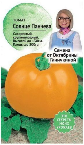 Семена Томата Октябрина Ганичкина Солнце Панчева 10 шт, детальное фото
