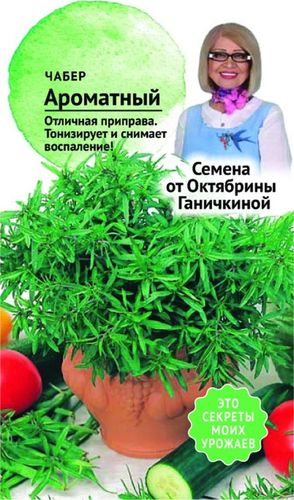 Семена Чабера Октябрина Ганичкина Ароматный 2 г, фотография