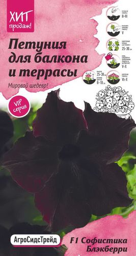 Семена Петунии Октябрина Ганичкина Софистика блэкберри 5 шт, фото