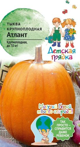 Семена Тыква крупноплодная Атлант 1,5 г Детская грядка, фотография
