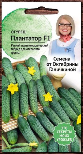 Семена Огурца Октябрина Ганичкина Плантатор F1 7 шт 2 г, картинка
