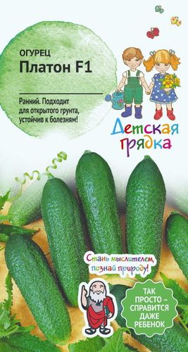 Семена Огурца Платон 7 шт, изображение