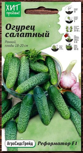 Семена Огурца Аеформатор АСТ 5 шт, фотография
