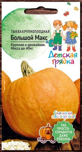 Семена Тыквы Детская грядка Большой Макс 1,5 г, изображение