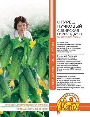 Семена ОГУРЕЦ СИБИРСКАЯ ГИРЛЯНДА 5 ШТ ШТАЙНЕРТ, фото