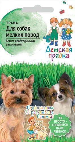 Семена трава для собак мелких пород ДГ 10 г, фотография