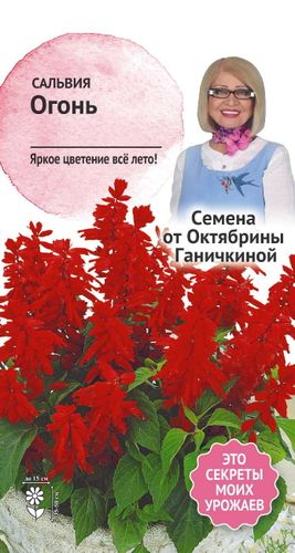 Семена Сальвия Огонь 0,1 г, картинка