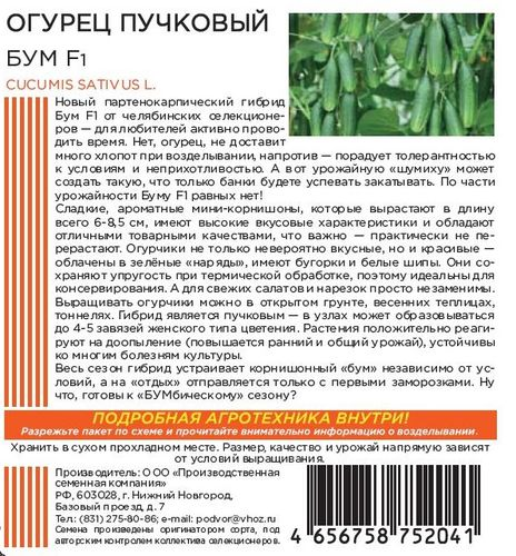 Семена ОГУРЕЦ ПУЧКОВЫЙ БУМ F1 5 ШТ ШТАЙНЕРТ, фотография
