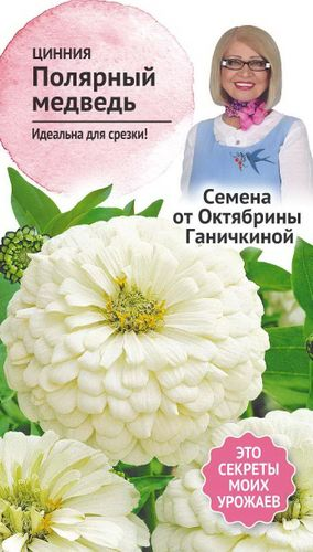 Семена Циннии Октябрина Ганичкина Полярный медведь 0,5 г, фото