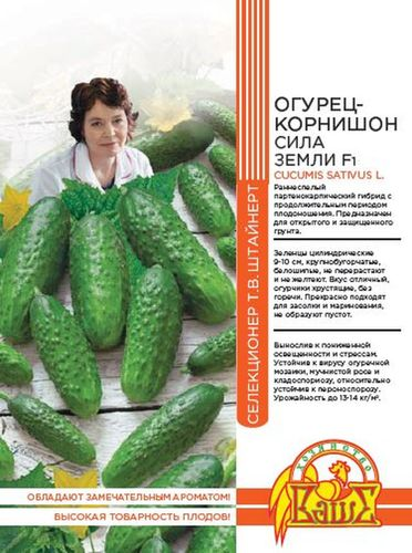 Семена ОГУРЕЦ СИЛА ЗЕМЛИ F1 10 ШТ ШТАЙНЕРТ, изображение