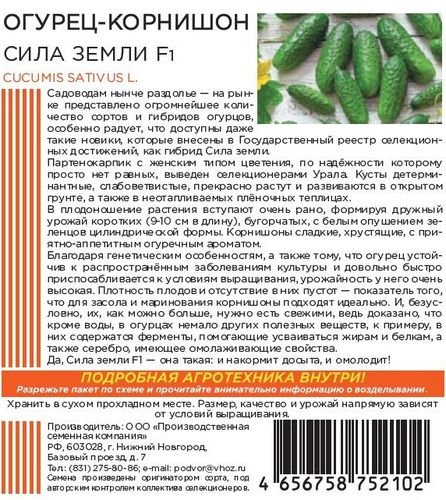 Семена ОГУРЕЦ СИЛА ЗЕМЛИ F1 10 ШТ ШТАЙНЕРТ, крупный план