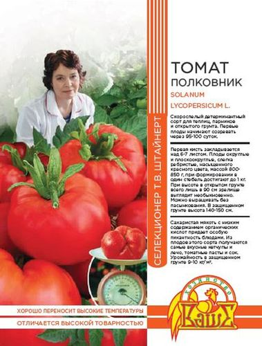 Семена ТОМАТ ПОЛКОВНИК 20 ШТ ШТАЙНЕРТ, вид