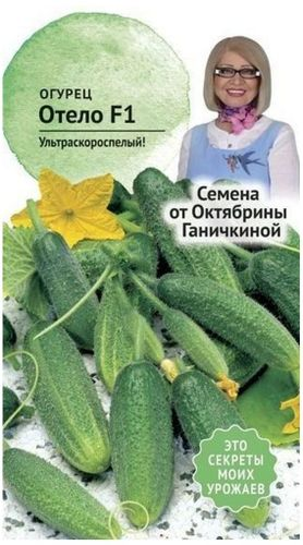 Семена Огурца Октябрина Ганичкина Отело F1 3 г, детальное фото