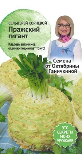 Семена Сельдерей корневой Пражский Семена от Октябрины Ганичкиной гигант 0,3, изображение
