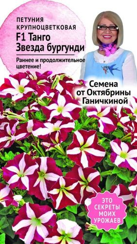 Семена Петунии Октябрина Ганичкина Танго Звезда бургунди F1 10 шт, фотография