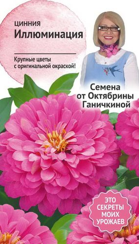 Семена Циннии АгроСидсТрейд Иллюминация 0,3 г, картинка