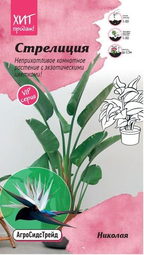Стрелиция Николая 3шт АСТ, вид