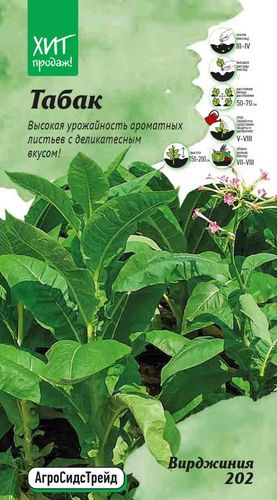 Семена Табак Вирджиния 202 АСТ, крупный план