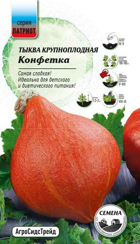 Семена Тыква Конфетка  ПАТРИОТ, изображение