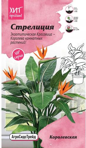 Семена Стрелиция Королевская 3шт АСТ, изображение