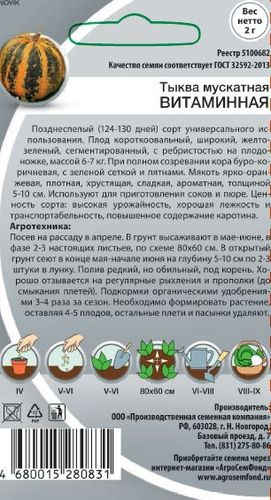 Семена Тыква мускатная Витамин 2 г, изображение