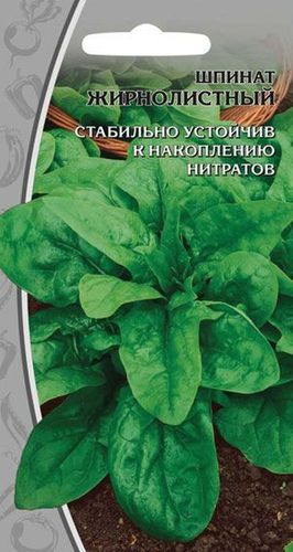 Семена шпинат жирнолистный 1 г, крупный план