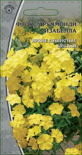 Семена Флокс  друммонди  Изабелла  0,1гр, вид