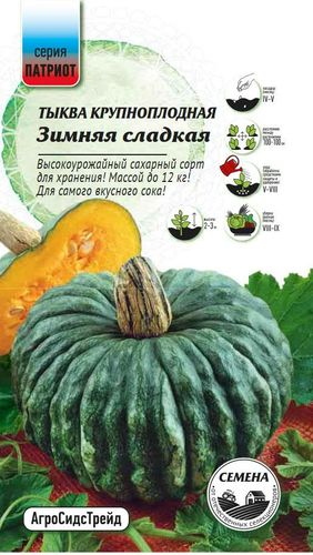 Семена Тыква Зимняя сладкая ПАТРИОТ, вид