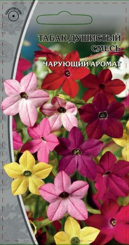 Семена Табак душистый смесь 0,3 г, вид