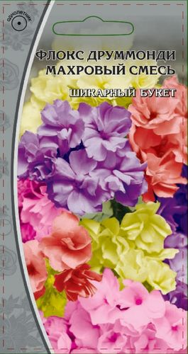 Семена Флокс  друммонди Махровая смесь  0,1гр, фото