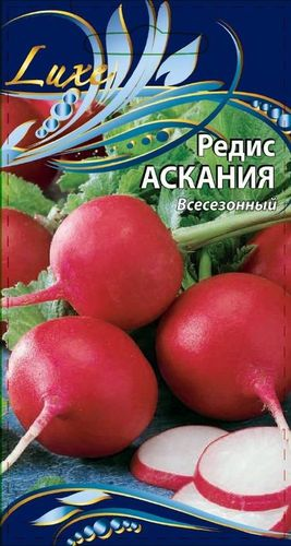Семена Редиса Аскания 1г, фото